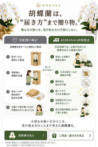 3本立ち胡蝶蘭