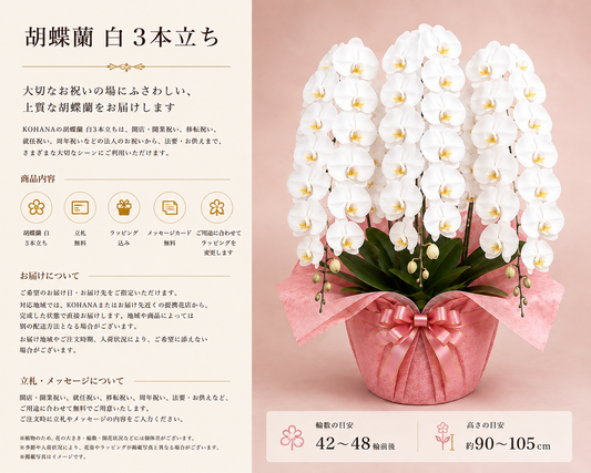 3本立ち胡蝶蘭